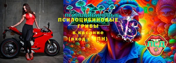 мяу мяу мука Абинск