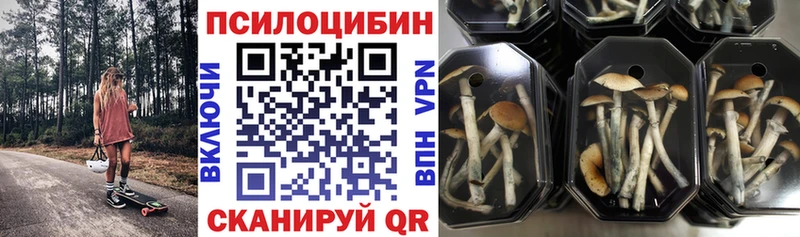 ОМГ ОМГ рабочий сайт  Южа  Галлюциногенные грибы Magic Shrooms 